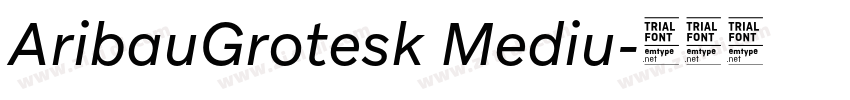 AribauGrotesk Mediu字体转换